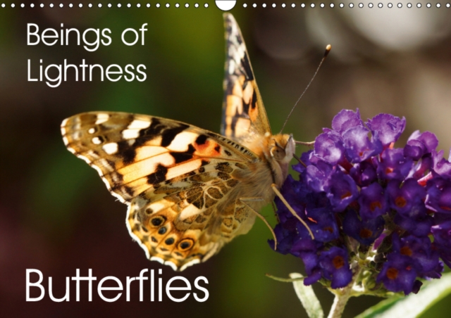 Beings of Lightness Butterflies 2019 : A colorful selection of butterflies photographed in their natural habitat., Calendar Book