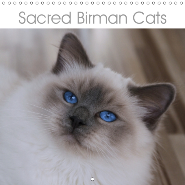 Sacred Birman Cats 2019 : Blue eyes, white paws - The Birman Cats calendar, Calendar Book