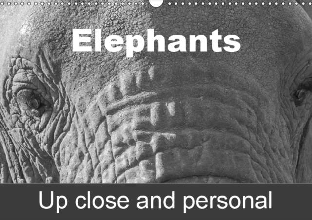 Elephants up close and personal 2019 : This calendar contains a unique selection of photographs of Asian and African Elephants, Calendar Book