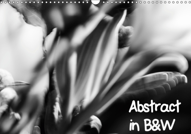 Abstract in B&W 2019 : Abstract Black and White Images, Calendar Book