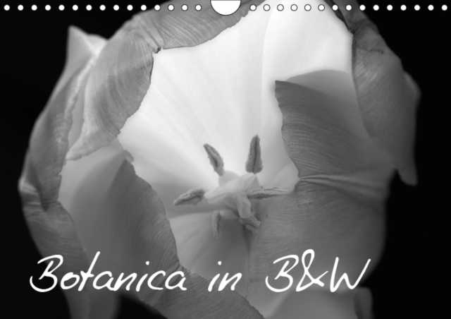 Botanica in B&W 2019 : Black and White Images of Botanica, Trees, Flower and Plants, Calendar Book
