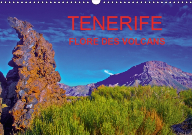 TENERIFE FLORE DES VOLCANS 2019 : Des champs de lave barioles de flore endemique creant la surprise dans un desert bien peu austere., Calendar Book