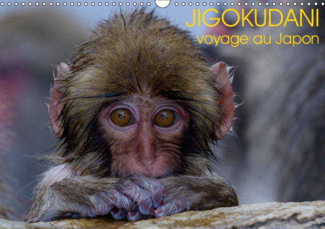 JIGOKUDANI voyage au Japon 2019 : Un voyage a travers de magnifiques portraits de macaques japonais, Calendar Book