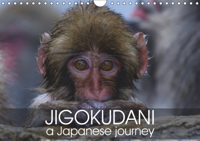 Jigokudani a japanese journey 2019 : An incredible journey with snow monkeys, Calendar Book