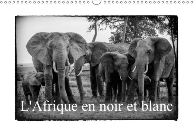 L' Afrique en noir et blanc 2019 : Vision inhabituelle du Masai Mara, Calendar Book