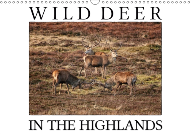 Wild Deer In The Highlands 2019 : Enjoy the majestic beauty of wild deer in its natural environment, Calendar Book