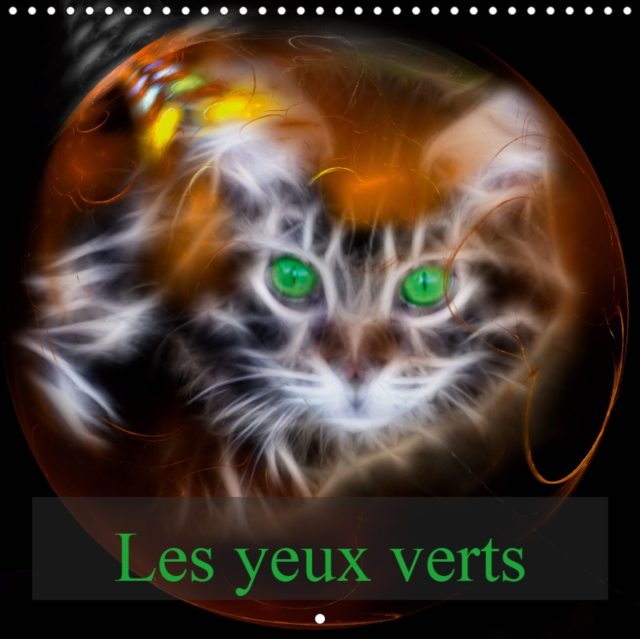 Les yeux verts 2019 : Portraits de chats Maine Coon, Calendar Book