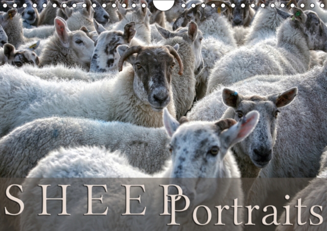 Sheep Portraits 2019 : Discover 12 beautiful portraits of sheep in the countryside, Calendar Book