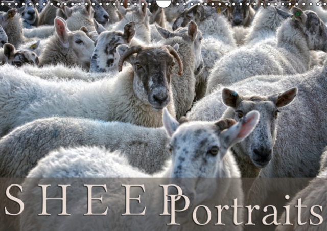 Sheep Portraits 2019 : Discover 12 beautiful portraits of sheep in the countryside, Calendar Book