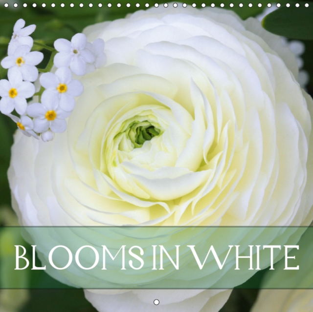 Blooms in White 2019 : Charming white blossoms, Calendar Book