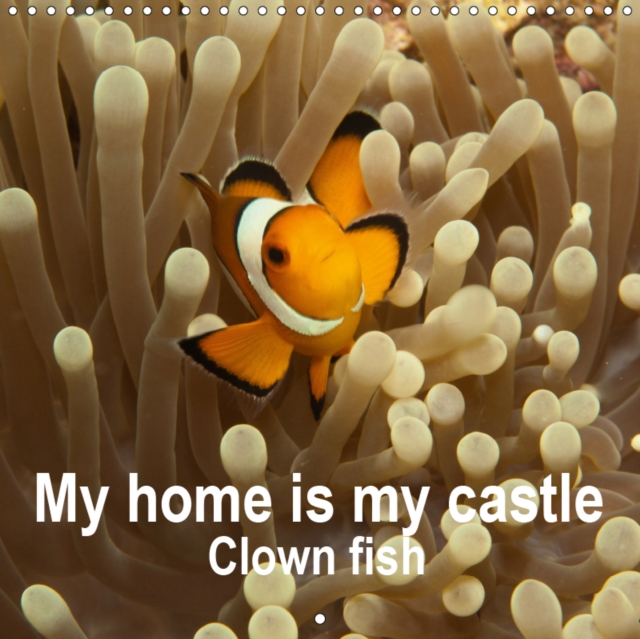 My home is my castle - Clown fish 2019 : This clown fish calendar is the most colourful spectacle for the year., Calendar Book
