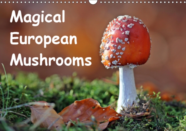 Magical European Mushrooms 2019 : Eleven different species of mushrooms in some unusual and original macro shots, all taken in Northern Hessen., Calendar Book