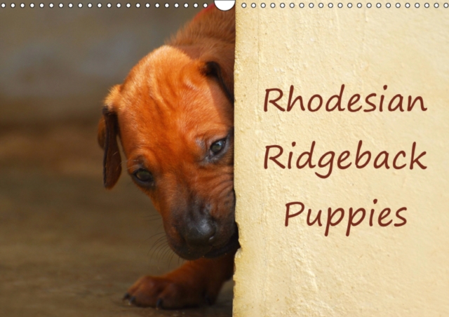 Rhodesian Ridgeback Puppies 2019 : A monthly  calendar with photographs of Rhodesian Ridgeback puppies., Calendar Book