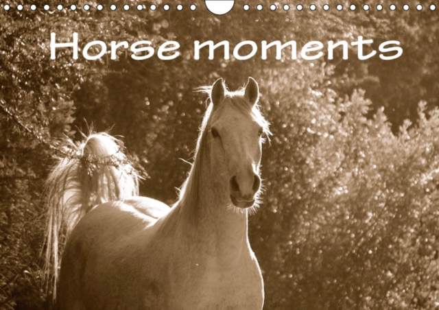 Horse moments 2019 : Sepia photographs of different horses in South Africa, captured by photographer Anke van Wyk (www.germanpix.net)., Calendar Book