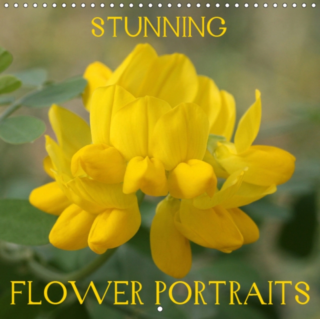 Stunning Flower Portraits 2019 : Close-ups of unique blossoms in summer, Calendar Book