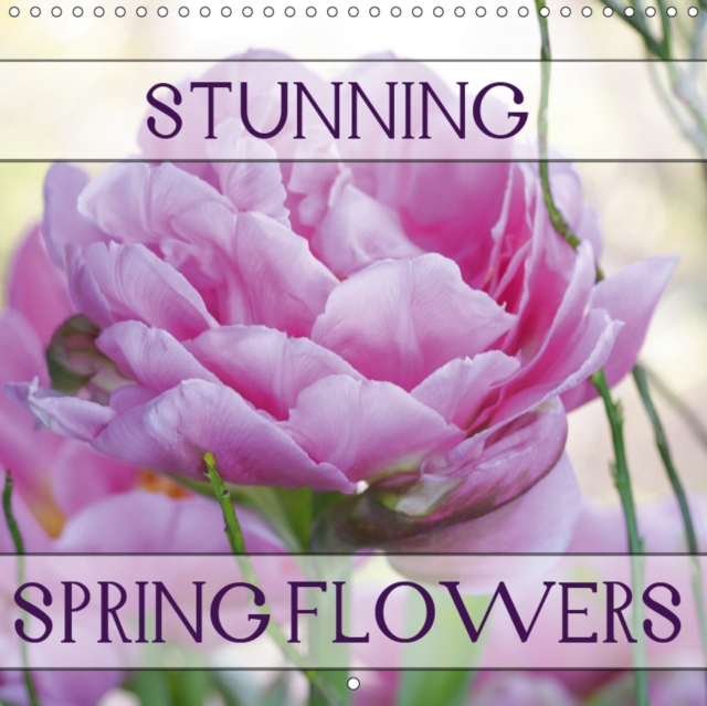 Stunning Spring Flowers 2019 : Portraits of spring flowers to brighten your mood., Calendar Book