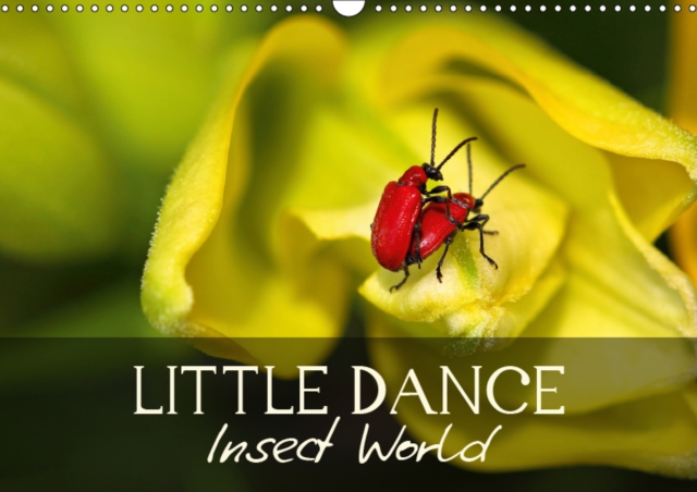 Little Dance Insect World 2019 : Creative macrophotography of nature, Calendar Book