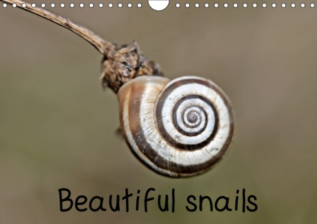 Beautiful snails 2019 : Six different native snail species in 13 color macro shots., Calendar Book