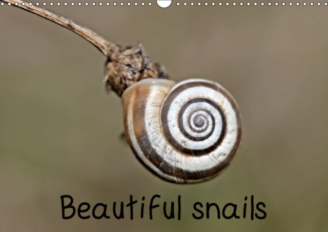 Beautiful snails 2019 : Six different native snail species in 13 color macro shots., Calendar Book