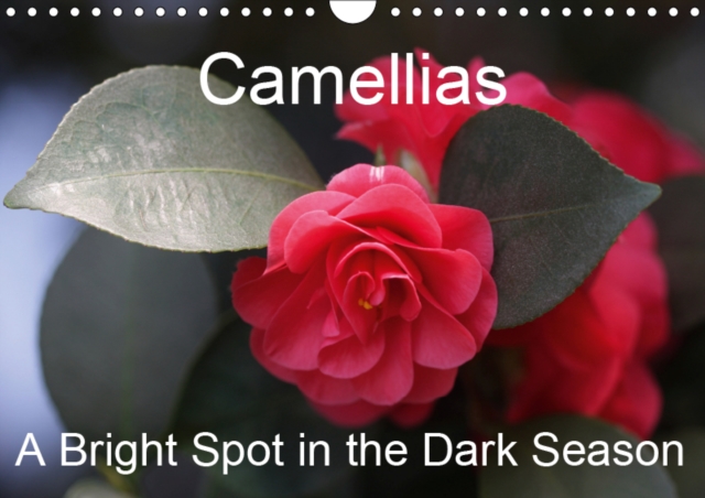 Camellias A Bright Spot in the Dark Season 2019 : Extraordinary flowers in winter, Calendar Book