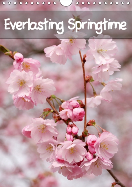 Everlasting Springtime 2019 : 12 marvellous spring photos, Calendar Book