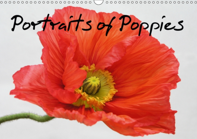 Portraits of Poppies 2019 : One year of poppy pleasure, Calendar Book