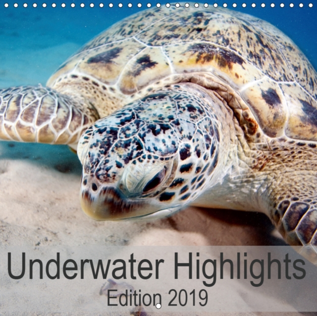 Underwater Highlights Edition 2019 2019 : Enjoy the impressive underwater world, Calendar Book