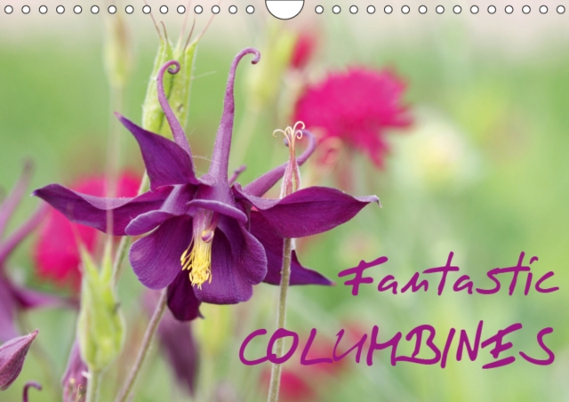 Fantastic Columbines 2019 : The variety of Granny`s Bonnet or Columbine is remarkable, Calendar Book