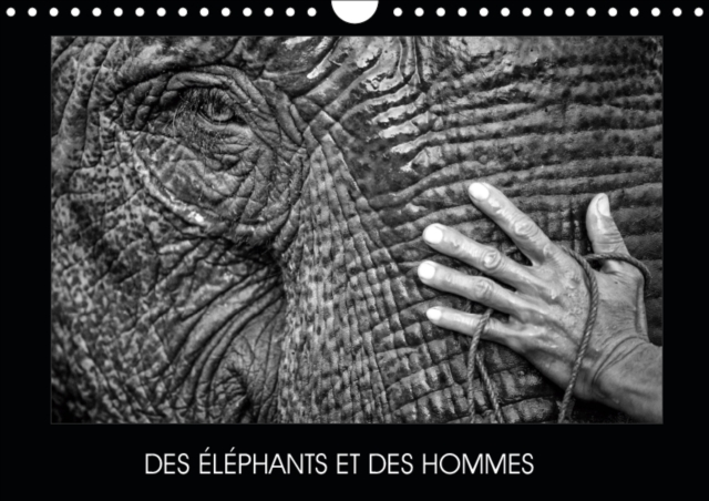 DES ELEPHANTS ET DES HOMMES 2019 : La relation entre les elephants et les hommes en Asie du sud-est, Calendar Book