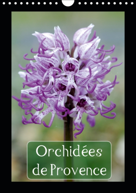 Orchidees de Provence 2019 : Orchidees rencontrees dans les Alpilles et le Luberon, Calendar Book