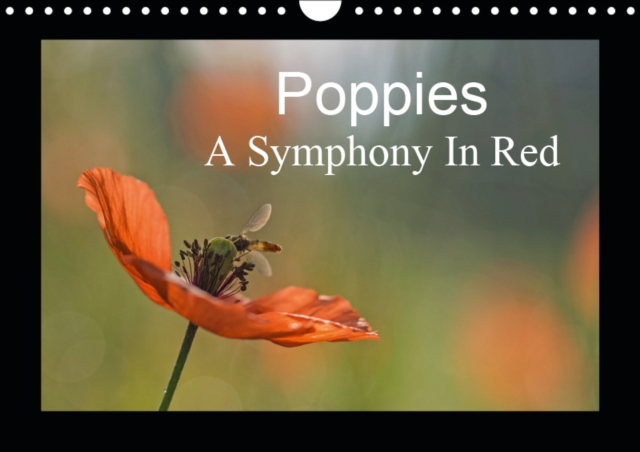 Poppies A Symphony In Red 2019 : It is almost too beautiful. The red poppies in a wheat field swaying gently in the wind, the buzz of insects and birdsong that will accompany you throughout the year., Calendar Book