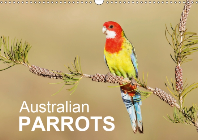 Australian Parrots 2019 : Beautiful photographs of Australian Parrots, Calendar Book
