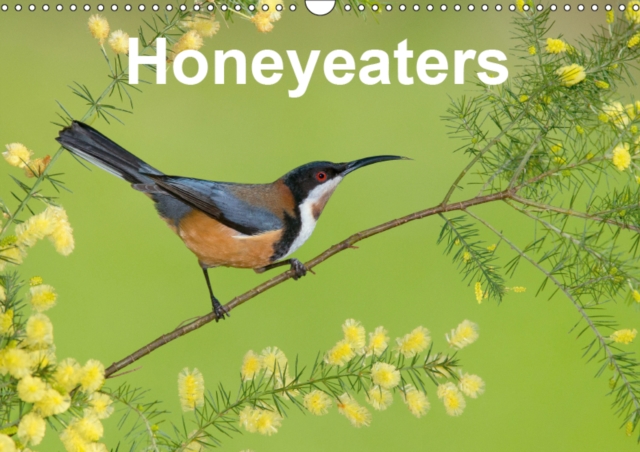 Honeyeaters 2019 : Lovely photographs of Australian Honeyeaters, Calendar Book