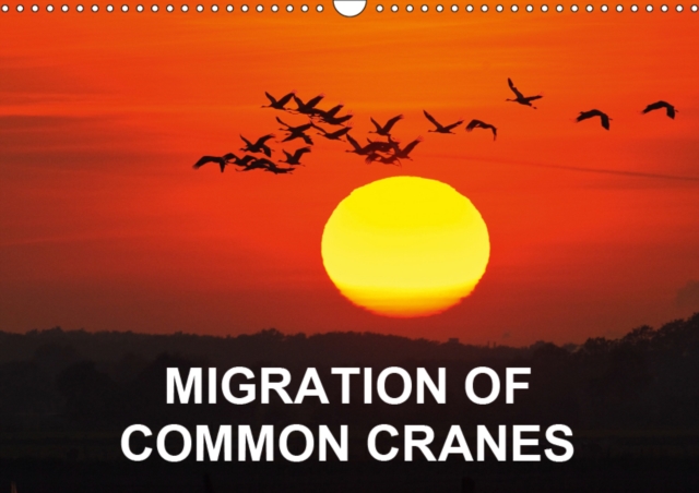 Migration of Common Cranes 2019 : Photographs of Common Cranes on their migration route through Northern Germany, Calendar Book