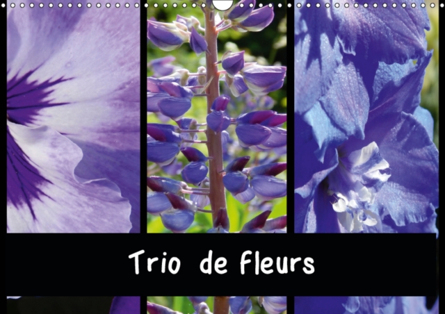 Trio de fleurs 2019 : La variete des fleurs de couleur ressemble a un arc-en-ciel., Calendar Book
