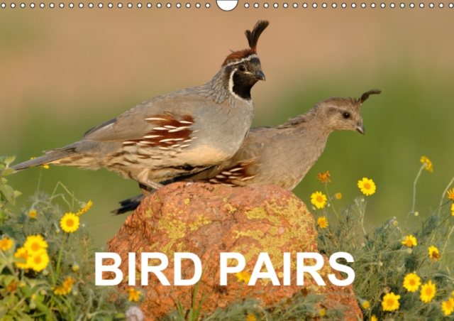 Bird Pairs 2019 : Photographs of bird pairs, Calendar Book