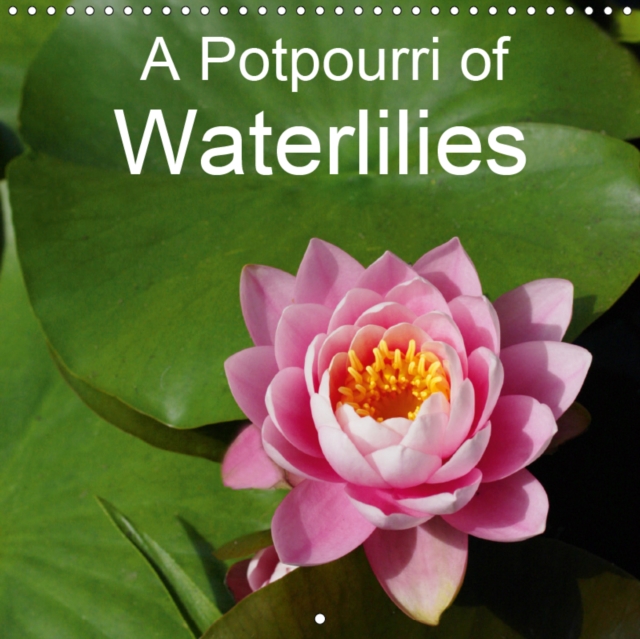 A Potpourri of Waterlilies 2019 : A colourful variety of waterlilies, Calendar Book