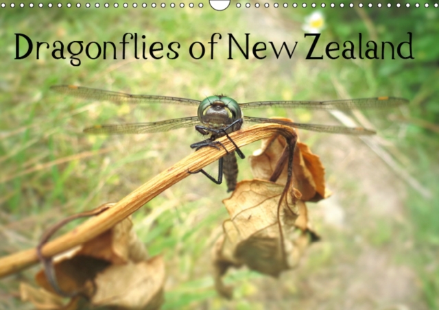 Dragonflies of New Zealand 2019 : A selection of photos from dragonflies in New Zealand, Calendar Book