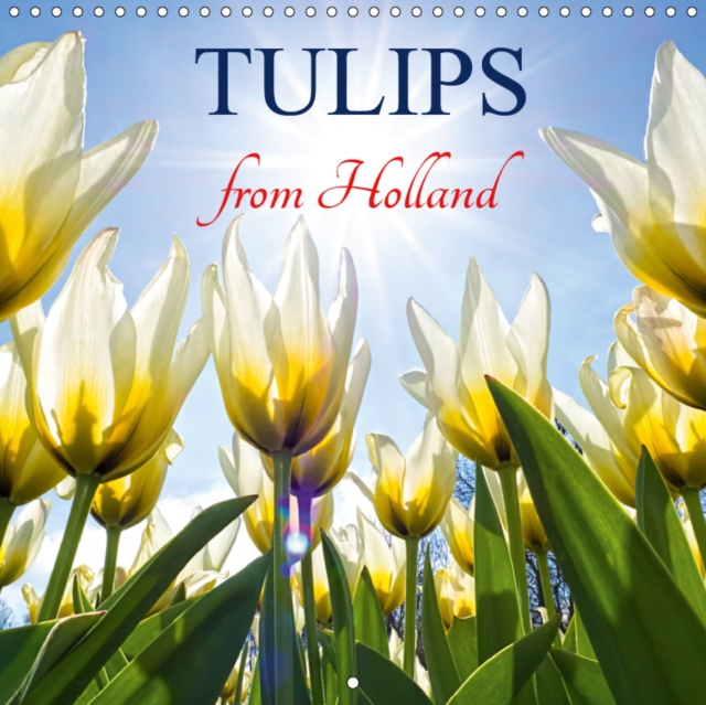 Tulips from Holland 2019 : Wonderful Tulips from Holland are bringing love and colours into your life., Calendar Book