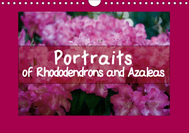 Portraits of Rhododendrons and Azaleas 2019 : The magnificent blooms of these spring plants in 13 brilliant photos, Calendar Book