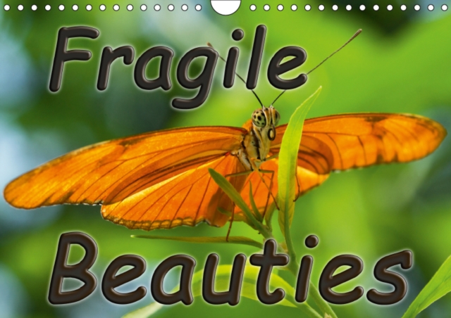 Fragile Beauties - Exotic butterflies 2019 : Spellbinding photos of various exotic butterflies in their natural habitat., Calendar Book