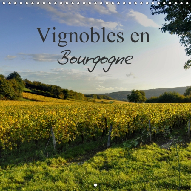 Vignobles en Bourgogne 2019 : Magnifique region reputee dans le monde entier pour la qualite de son nectar., Calendar Book
