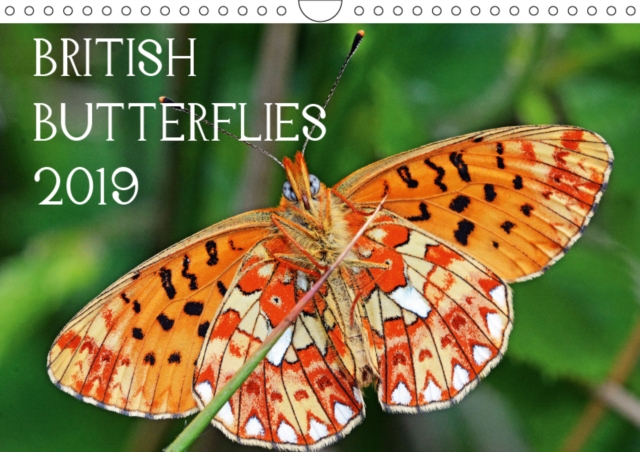 British Butterflies 2019 2019 : A selection Of butterflies to be found in the UK., Calendar Book