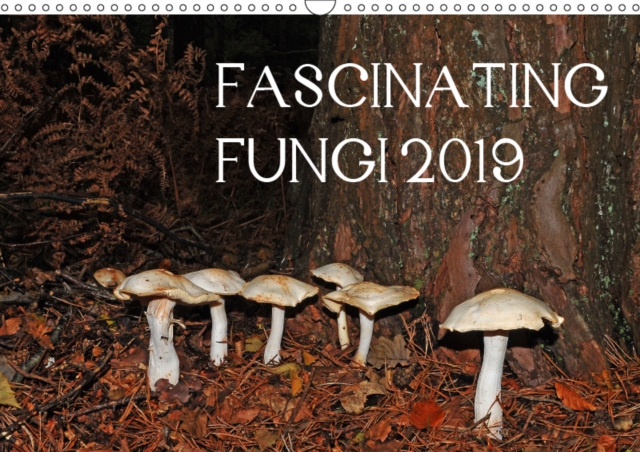 FASCINATING FUNGI 2019 2019 : Fungi found in the UK, Calendar Book
