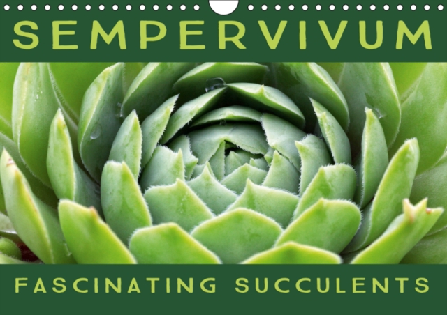 Sempervivum Fascinating Succulents 2019 : Sempervivum, 12 wonderful portraits of the fascinating succulents, Calendar Book