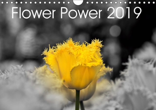 Flower Power 2019 2019 : Flowers in all different colours, Calendar Book
