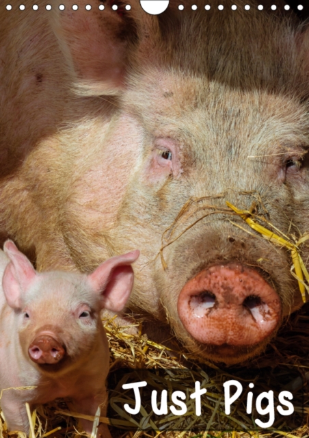 Just Pigs 2019 : Images of Pigs and Piglets, Calendar Book
