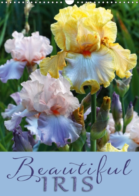 Beautiful Iris 2019 : 12 gorgeous iris portraits in the garden, Calendar Book