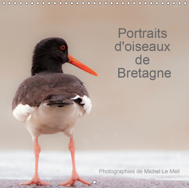 Portraits d'oiseaux de Bretagne 2019 : 12 photographies de proximite d'oiseaux bretons, Calendar Book
