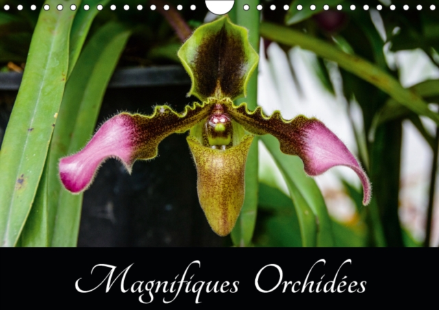 Magnifiques Orchidees 2019 : Belles photographies d'orchidees exotiques, Calendar Book